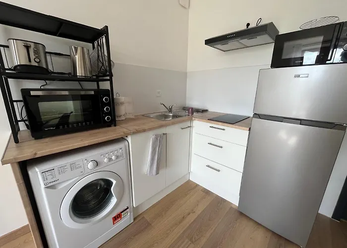 Logement Lumineux Renove A Neuf